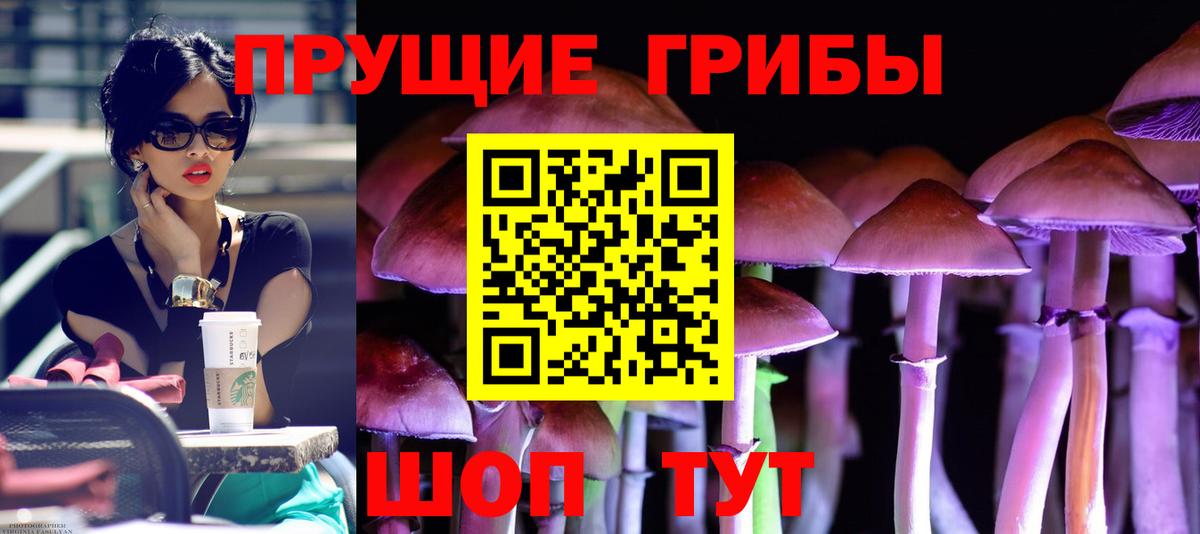 Галлюциногенные грибы GOLDEN TEACHER Железногорск